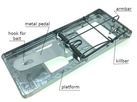 Metal snap rat trap is a reliable and durable device for rodent elimination