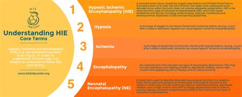 What Is Hypoxic-Ischemic Encephalopathy (HIE)?