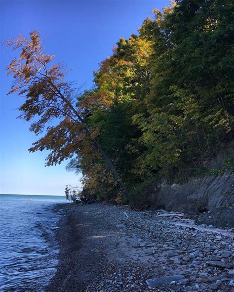 Fall on Lake Erie - Erie Bluffs State Park 10/15/16 | State parks ...