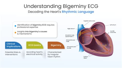 Bigeminy ECG: Meaning, Symptoms and Treatment