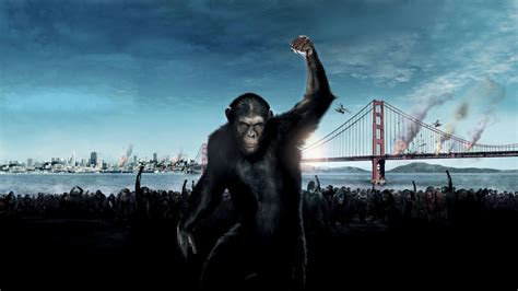 Rise of the Planet of the Apes Review - Film Takeout