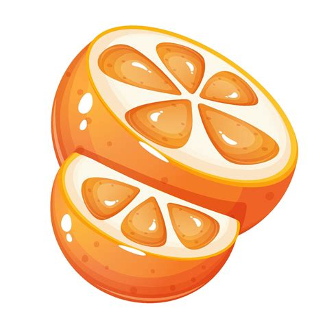 Cartoon style small and big orange slice. 21626786 Vector Art at Vecteezy