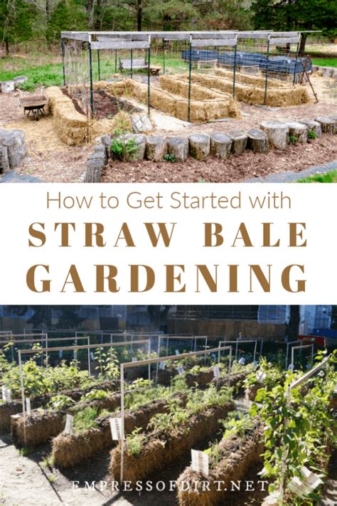 How to Get Started with Straw Bale Gardening | Empress of Dirt