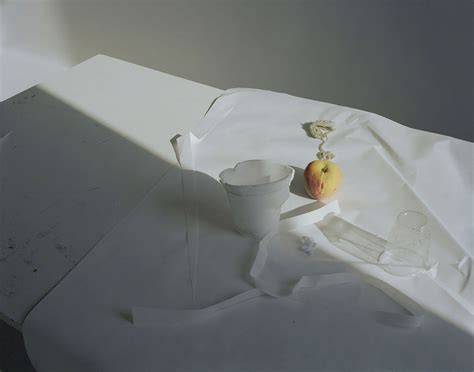 Laura Letinsky · Miss Moss | Still life photography, Contemporary photography, Still life