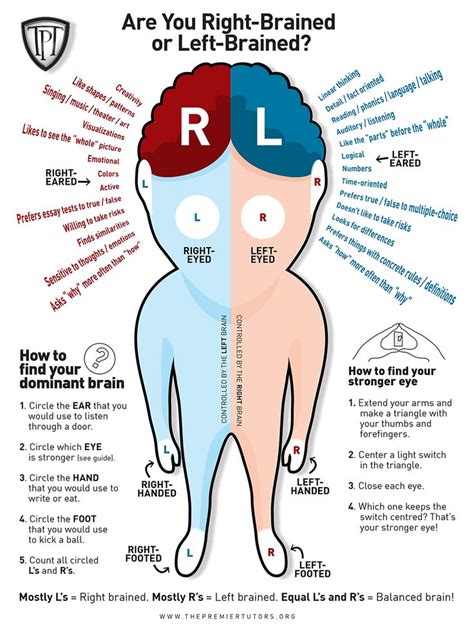 Vilken Hjärnhalva Är Dominant? - Testa Själv! | Infographic, Hälsa och fitness, Hjärnan