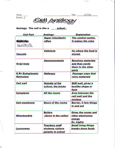 Plant Cell City Analogy Project