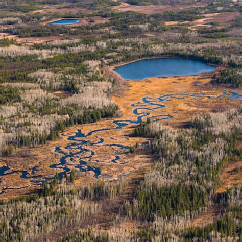 Wood Buffalo National Park – CPAWS Northern Alberta