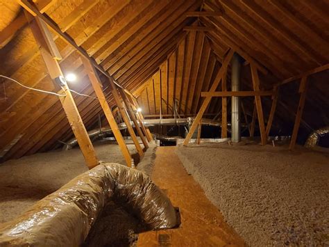 Top 5 Problems With Cellulose Attic Insulation And Solutions - Bird ...