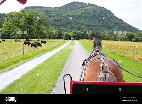 Killarney national park Stock Photo - Alamy