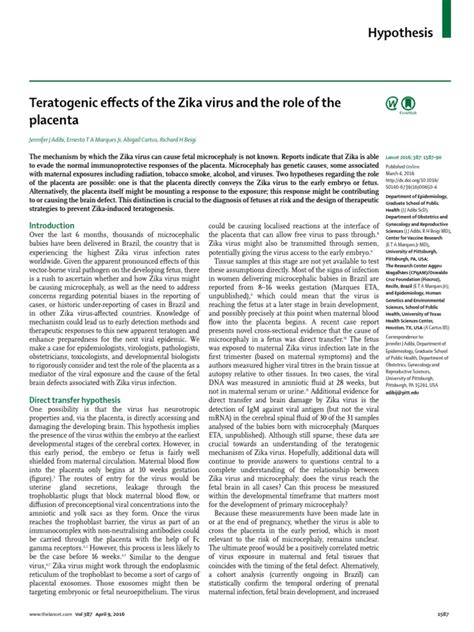 Teratogenic Effects of The Zika Virus and The Role of The Placenta | PDF | Placenta | Zika Fever