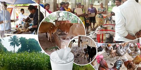 Department of Animal Production and Health – Northern Provincial Council, Sri Lanka