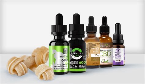 The Best CBD Oil for Dogs - Blog Medicine