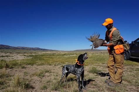 2015 Western Upland Game Planner - Petersen's Hunting