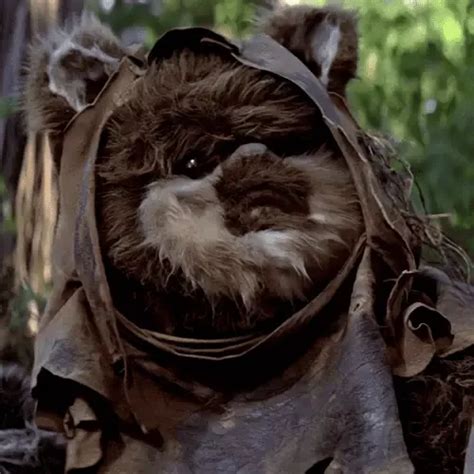 Ewok Costume For Cosplay & Halloween 2024