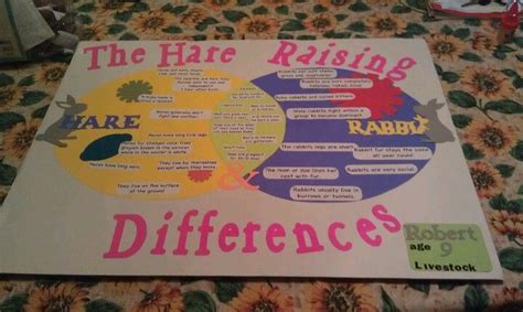 Robert's 4h poster | 4-h poster ideas, 4 h, Science projects