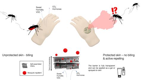 Mosquito bite prevention with cellulose nano crystals