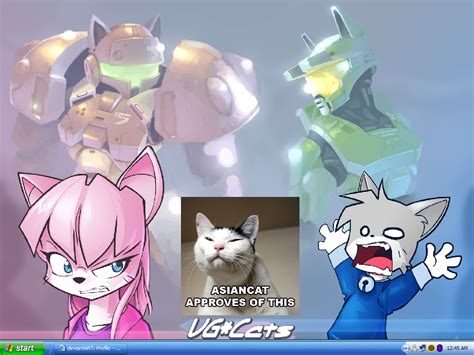 Vg cats wallpaper 2 by Smashspite on DeviantArt