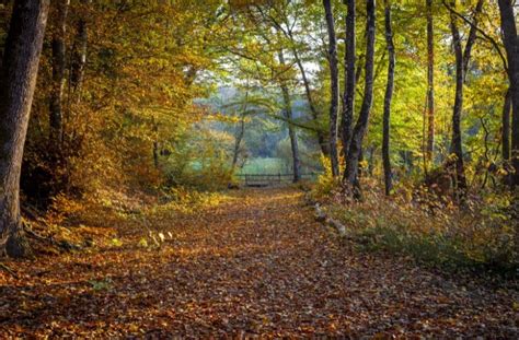 Autumn in Switzerland: Essential Information for Planning your Trip to Switzerland in the Fall ...