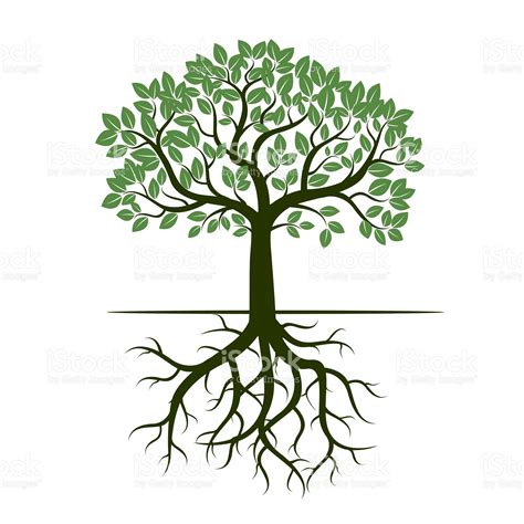 Green Tree and Roots. Vector Illustration. | Roots illustration, Tree illustration, Tree of life ...