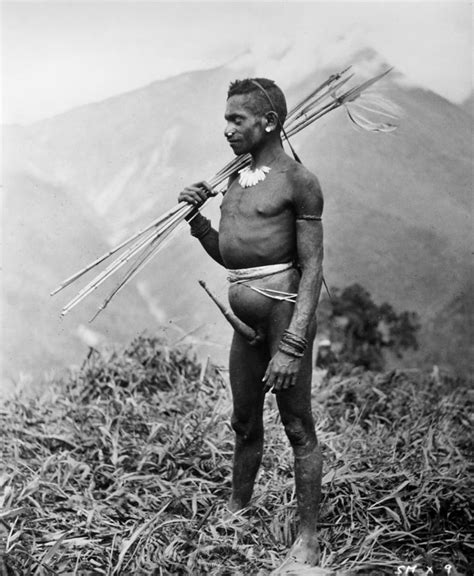 New Guinea Tribesman Photograph by Granger - Pixels