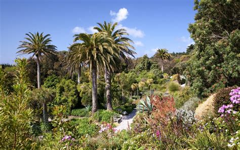 Tresco Abbey Garden - Scilly's Subtropical Gem | Tresco Island