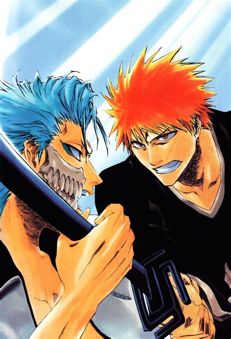 Grimmjow vs. Ichigo - Bleach Anime Photo (17718603) - Fanpop