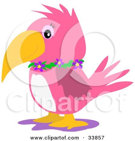 Royalty-Free (RF) Clipart of Pink Parrots, Illustrations, Vector Graphics #1