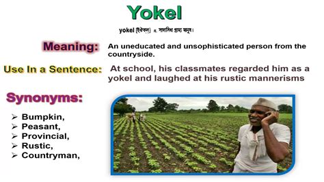 #Yokel-(Learn BCS English Vocabulary with Picture)☑ - YouTube