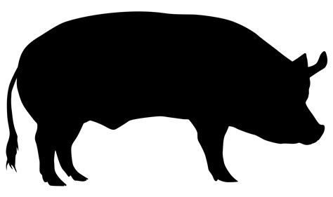 Domestic pig Cattle Sheep Silhouette - pig png download - 2480*1472 ...