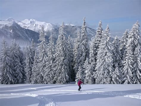 Ski de tură || Munții Rodnei - Zaiko Adventures