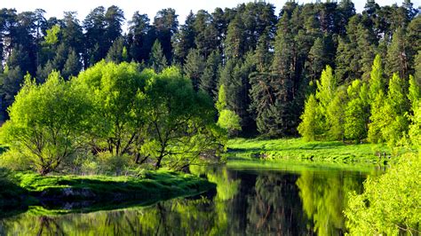 Заставку На Рабочий Стол Природу - komkvartira