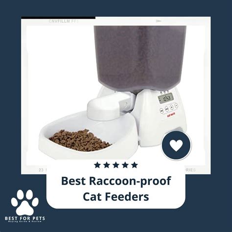 9 Best Raccoon-proof Cat Feeders in 2022