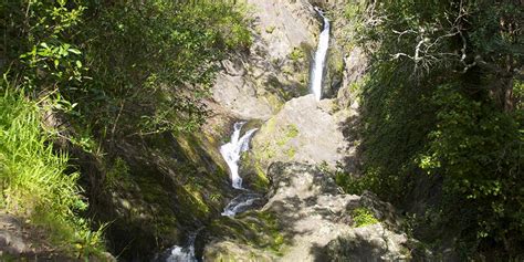 Wairere Falls | Whakatāne NZ