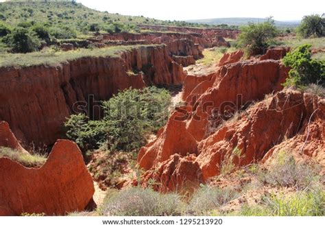 37 Overgrazing Damage Images, Stock Photos & Vectors | Shutterstock