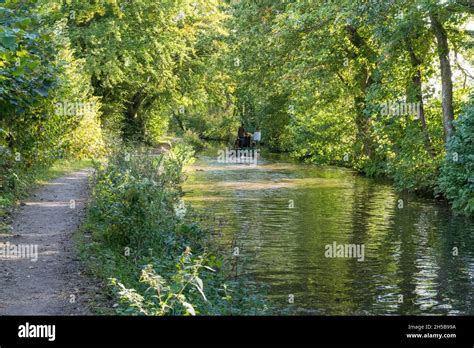 Canal towpath wildlife hi-res stock photography and images - Alamy