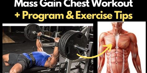 Mass Workout For Chest (Huge Hypertrophy)