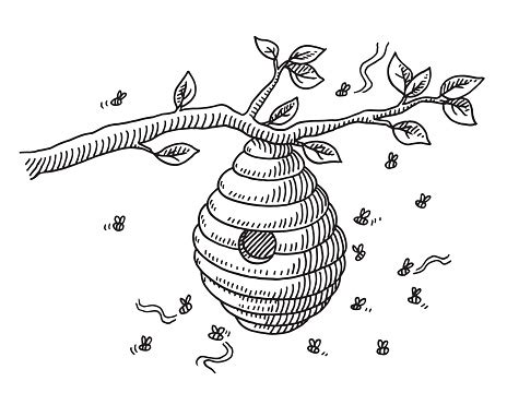 Beehive On Branch Drawing Stock Illustration - Download Image Now - iStock