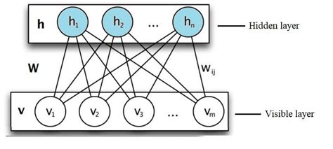 The structure of RBM. | Download Scientific Diagram