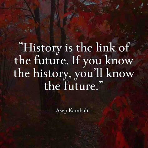 73 History Quotes By Historians Pics - MyWeb