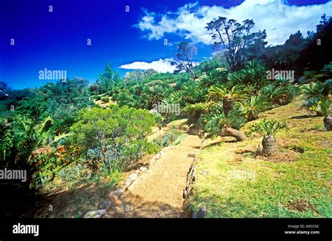 kirstenbosch; botanical; gardens; restaurant; cape town; south africa Stock Photo - Alamy