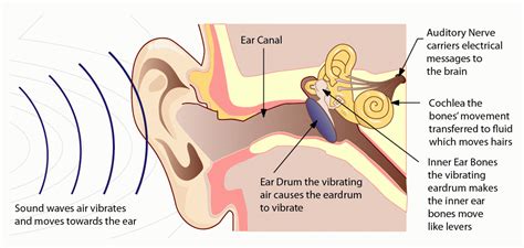 What is Sound? | Soundproofing Co.