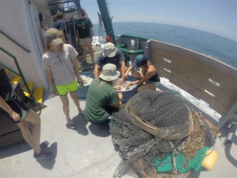 Field Studies in Marine Biology: Week 2: USFSP