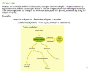 Role of Metabolites in metabolism.pptx