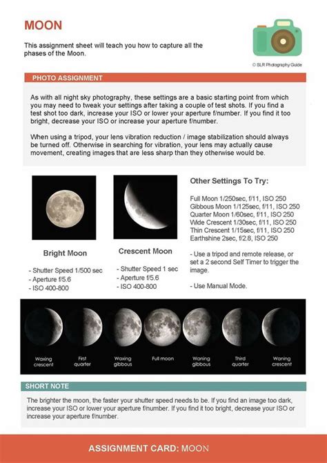 Pin by Michael McGoon on Camera Exposure Modes Explained | Digital photography basics ...