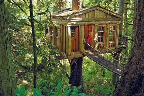 Eco Traveling – The Most Amazing Treehouses in the World - High Style Life