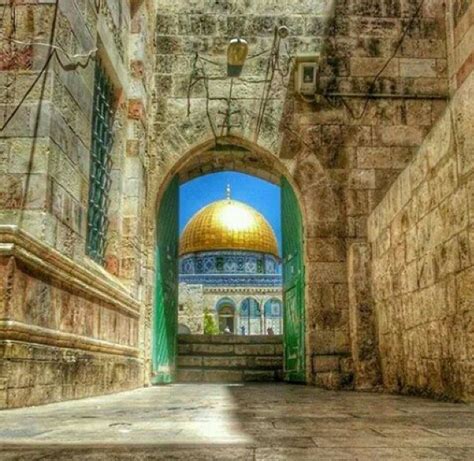Palestine History, Israel Palestine, Jerusalem Israel, Islamic Society, Al Quds, Temple Mount ...