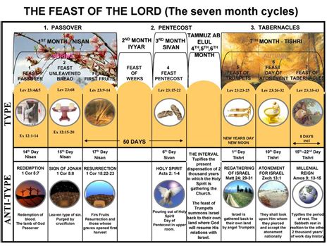 Feasts of Israel and the Menorah | Shepherding Truth