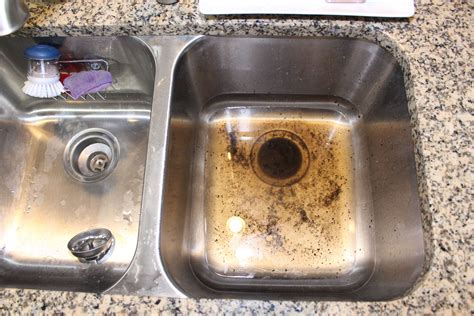 45+ Clogged Kitchen Sink With Garbage Disposal Gif