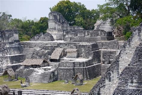 Tikal Museum / Museo Sylvanus G. Morley (Tikal National Park) - 2021 All You Need to Know BEFORE ...