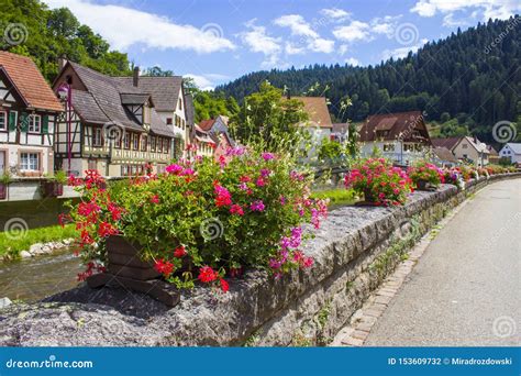 Schiltach in Black Forest, Germany Stock Photo - Image of house, flower: 153609732